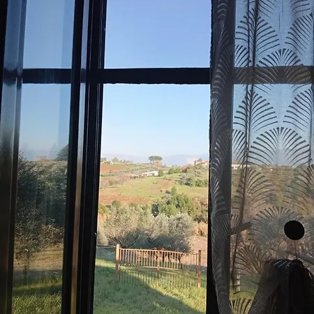 Taberna Romana Oca Bed & Breakfast Velletri